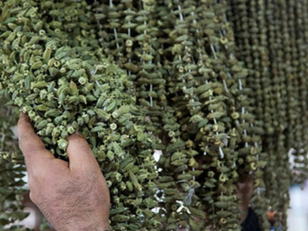 Bamyanın kilosu gram altınla yarışıyor!