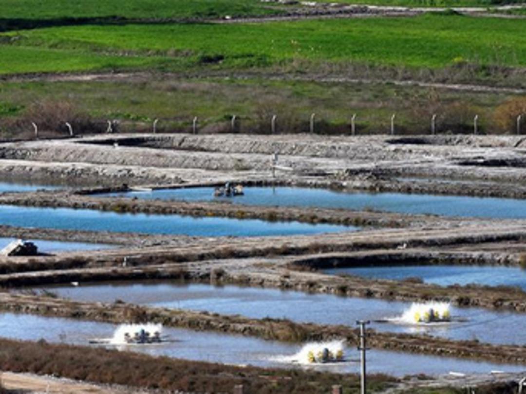 Kurak tarlalara havuz yaptılar