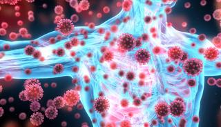 G&uuml;&ccedil;l&uuml; bağışıklık g&uuml;nl&uuml;k alışkanlıkların bir toplamı