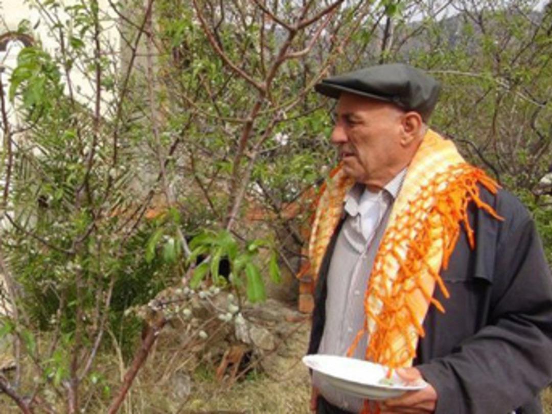 Hasadı yapılıyor, yarım kilosu 100 TL'den alıcı buluyor