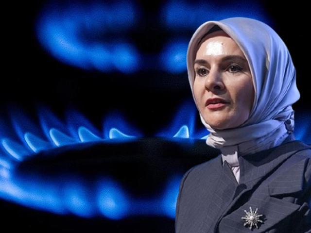 Bakan G&ouml;ktaş'tan doğal gaz desteği a&ccedil;ıklaması