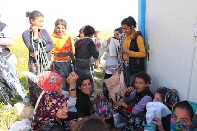 Kız çocukları, Göbeklitepe'de ot topluyor