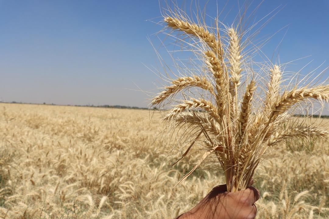Şanlıurfa da Akıllı Tarım Eğitim Merkezi ile modern tarım sahaya taşınıyor 2