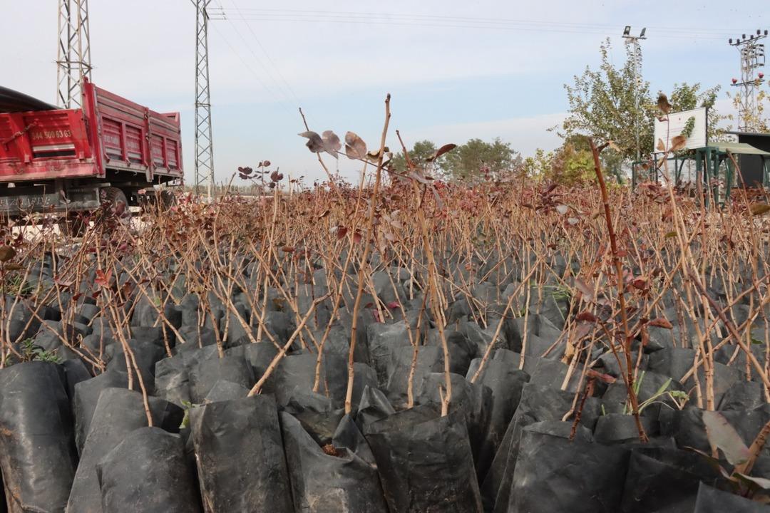 Şanlıurfa da Akıllı Tarım Eğitim Merkezi ile modern tarım sahaya taşınıyor 4