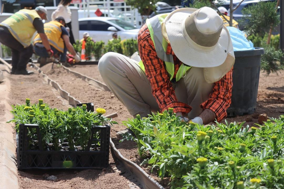 Şanlıurfa da Akıllı Tarım Eğitim Merkezi ile modern tarım sahaya taşınıyor 5