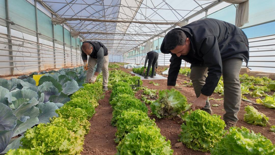 Şanlıurfa da Akıllı Tarım Eğitim Merkezi ile modern tarım sahaya taşınıyor 6