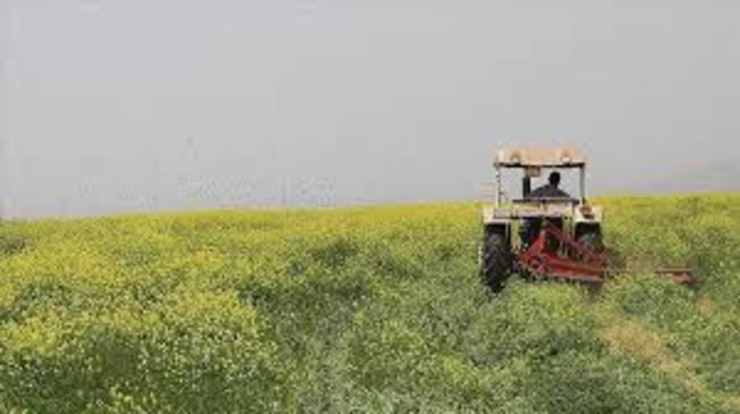 TMO, yem sekt&ouml;r&uuml; i&ccedil;in ilave stokları satışa sundu 1