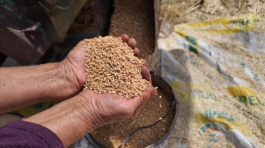 TMO yem sekt&ouml;r&uuml;ne y&ouml;nelik ilave stokları satışa sundu