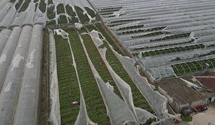 Bakan Yumaklı'dan Antalya'daki sel ve hortumdan etkilenen &uuml;reticilere ilişkin a&ccedil;ıklama: