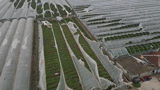 Bakan Yumaklı'dan Antalya'daki sel ve hortumdan etkilenen üreticilere ilişkin açıklama: