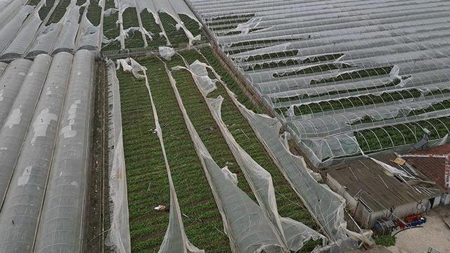 Bakan Yumaklı'dan Antalya'daki sel ve hortumdan etkilenen üreticilere ilişkin açıklama: