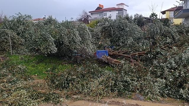 Manavgat&rsquo;ta hortum 300 d&ouml;n&uuml;ml&uuml;k alanda seraları yerle bir etti 6