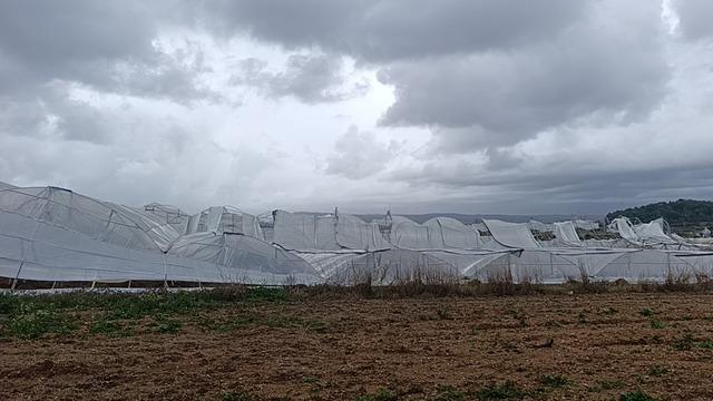 Manavgat&rsquo;ta hortum 300 d&ouml;n&uuml;ml&uuml;k alanda seraları yerle bir etti 1