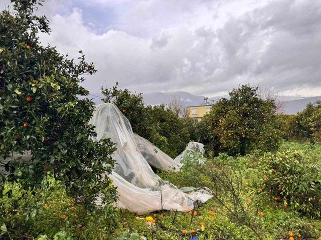 Finike&rsquo;de hortumun verdiği hasar g&uuml;nd&uuml;z ortaya &ccedil;ıktı 4