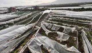 Finike&rsquo;de hortumun verdiği hasar g&uuml;nd&uuml;z ortaya &ccedil;ıktı