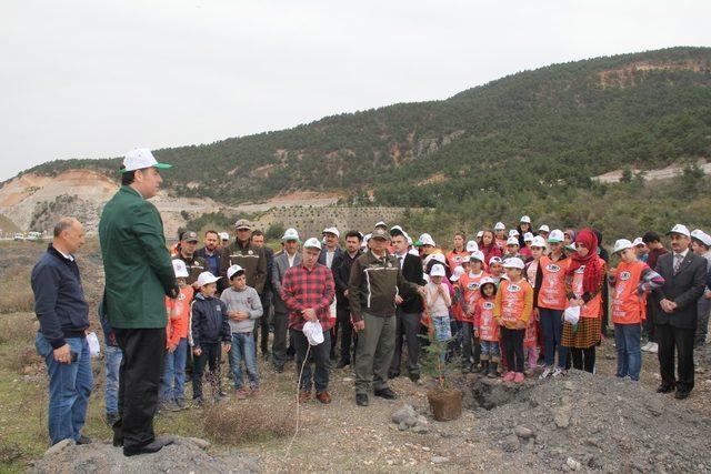 Niksar’da “15 Temmuz Şehitleri Hatıra Ormanı” kuruldu