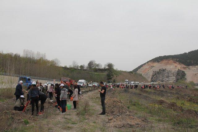 Niksar’da “15 Temmuz Şehitleri Hatıra Ormanı” kuruldu