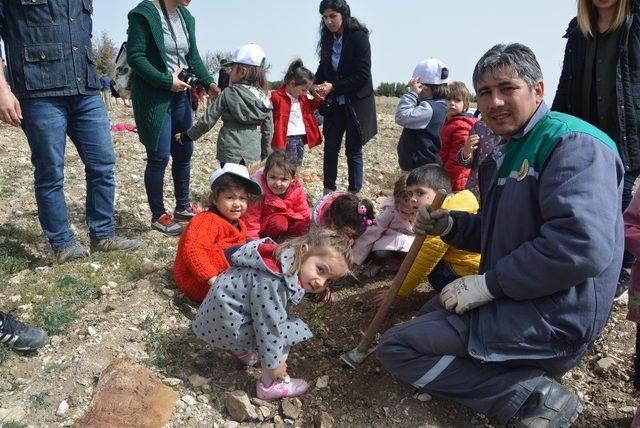 Akyar’da Ağaç Bayramı