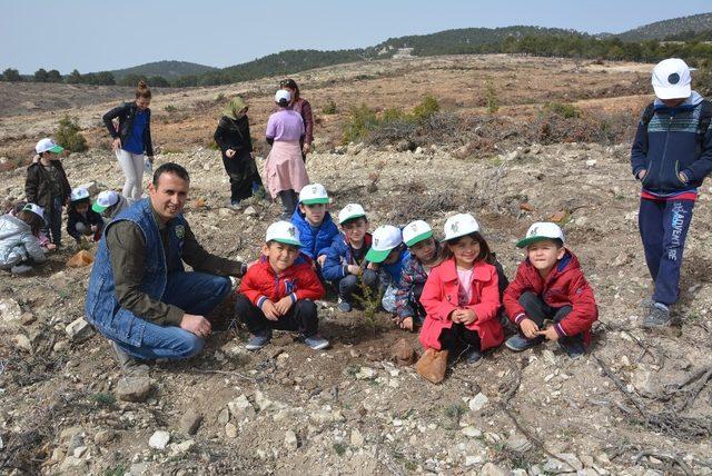 Akyar’da Ağaç Bayramı