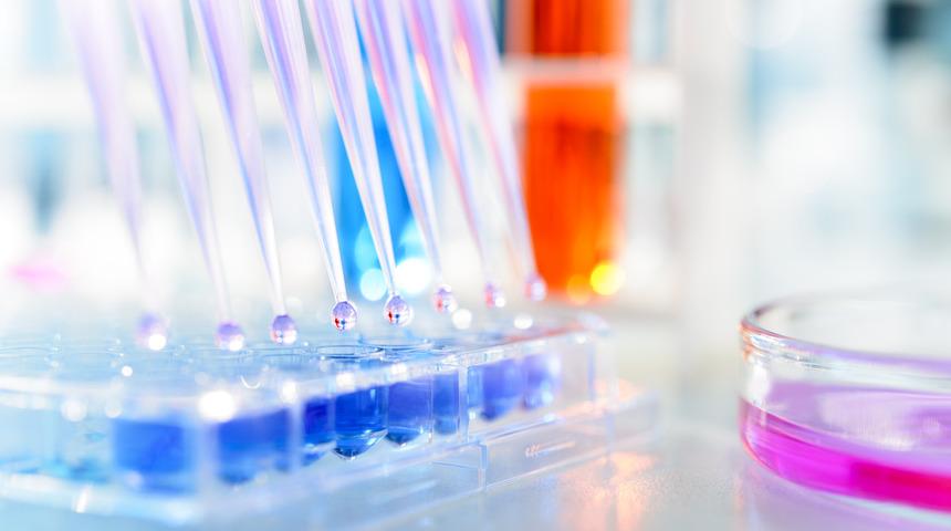 K&ouml;k h&uuml;cre bilinenden &ccedil;ok daha fazlası!