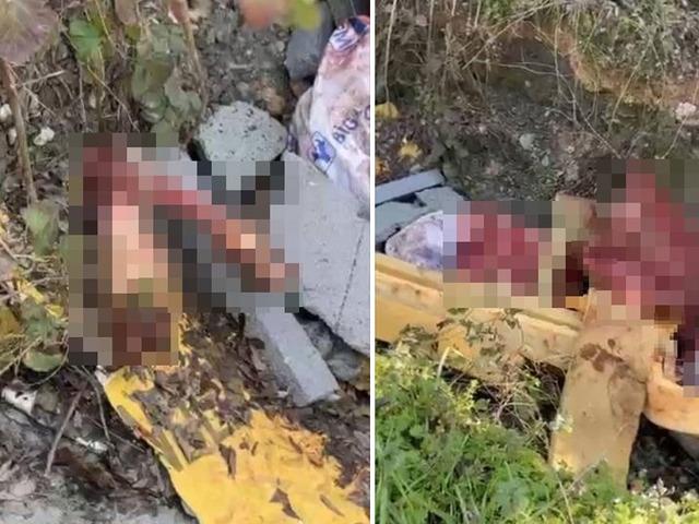 Jandarma otoyol kenarındaki kemiklerin izini s&uuml;rd&uuml;