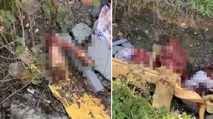 Jandarma otoyol kenarındaki kemiklerin izini s&uuml;rd&uuml;: Sakarya&rsquo;da skandal olay