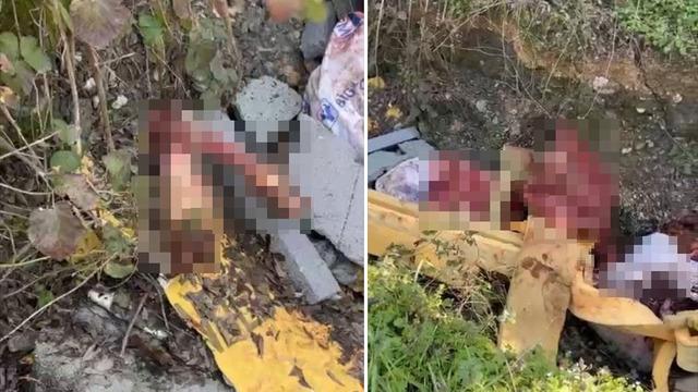 Jandarma otoyol kenarındaki kemiklerin izini sürdü: Sakarya’da skandal olay