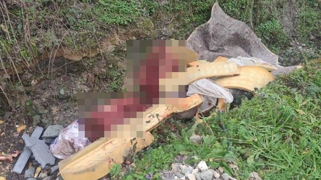 Jandarma otoyol kenarındaki kemiklerin izini s&uuml;rd&uuml;: Sakarya&rsquo;da skandal olay 1