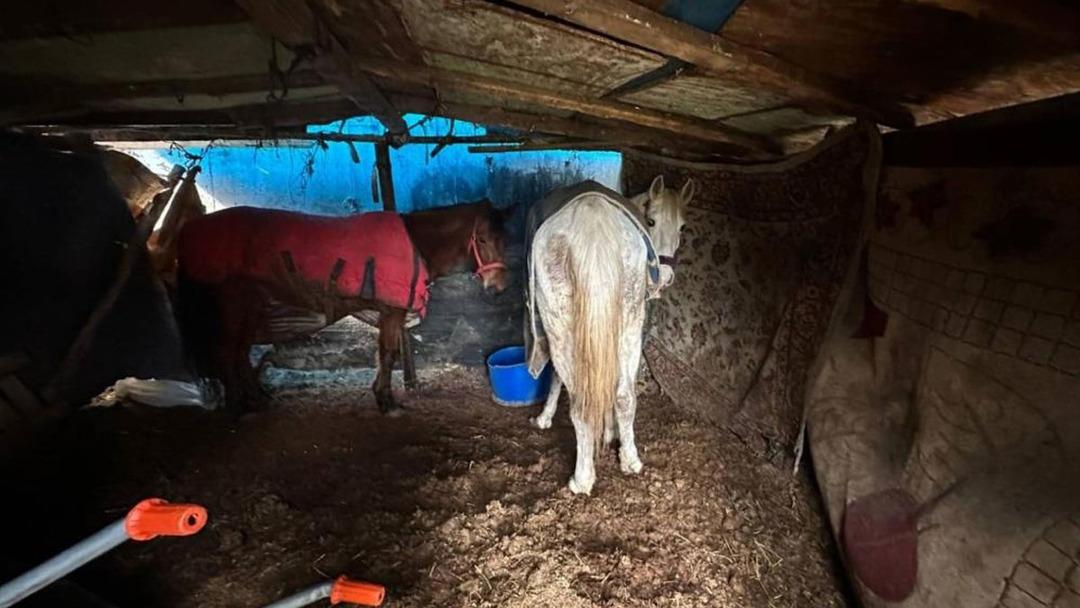 Jandarma otoyol kenarındaki kemiklerin izini s&uuml;rd&uuml;: Sakarya&rsquo;da skandal olay 2