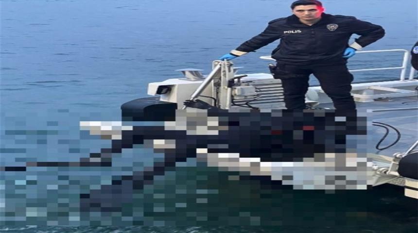 Kocaeli'de bulunmuştu: Dalgı&ccedil; kıyafetli cesedin sırrı &ccedil;&ouml;z&uuml;ld&uuml;!