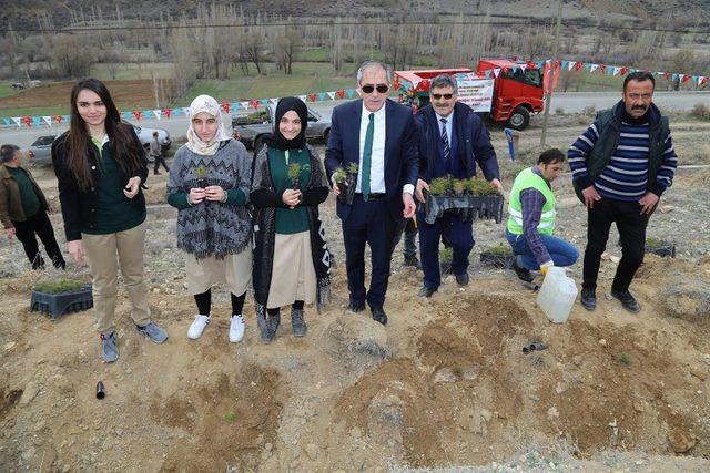 Afrin şehitleri anısına fidan diktiler