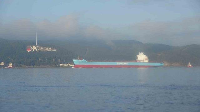 &Ccedil;anakkale Boğazı&rsquo;nda konteyner gemisi makine arızası yaptı 2