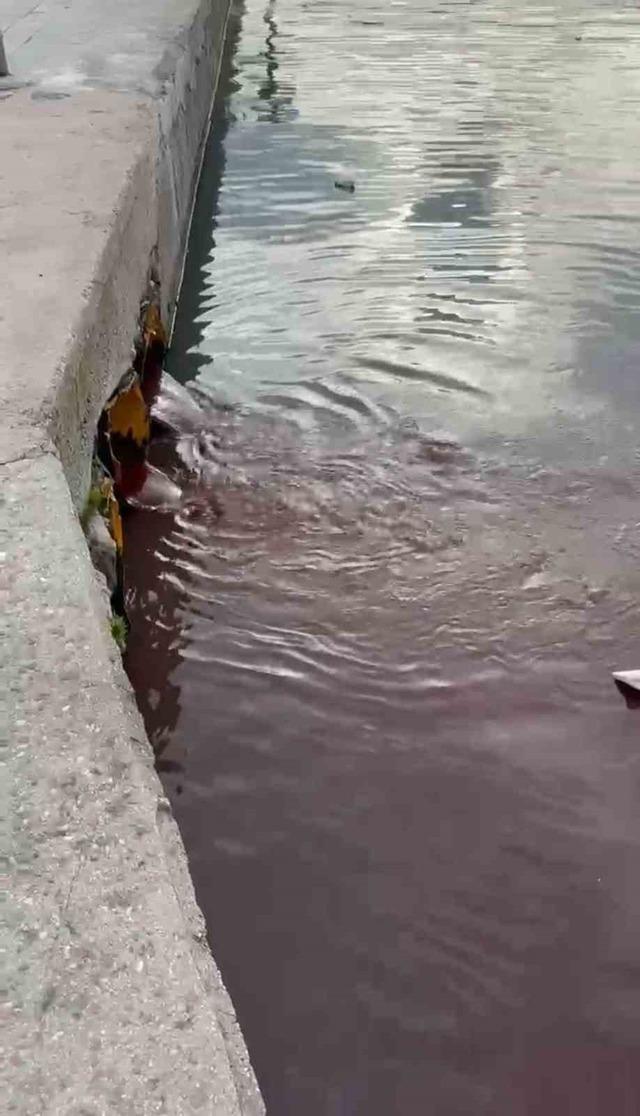 Bandırma’da deniz yüzeyi kırmızıya döndü 1