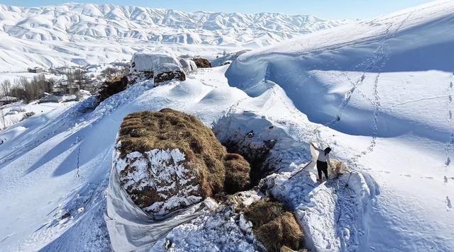 Hakkari&rsquo;de 1 bu&ccedil;uk metreyi aşan karda &ccedil;ift&ccedil;ilerin zorlu mesaisi s&uuml;r&uuml;yor 13