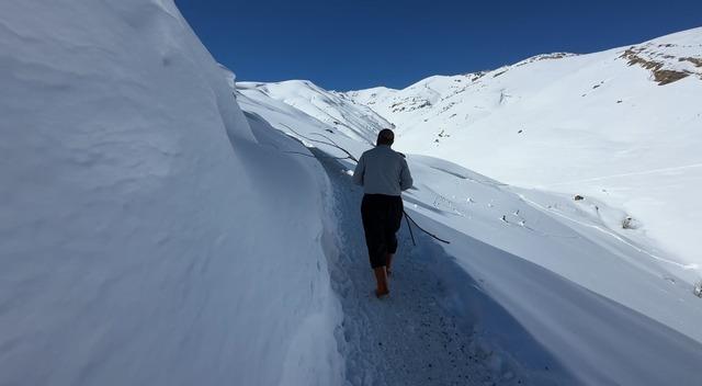 Hakkari&rsquo;de 1 bu&ccedil;uk metreyi aşan karda &ccedil;ift&ccedil;ilerin zorlu mesaisi s&uuml;r&uuml;yor 11