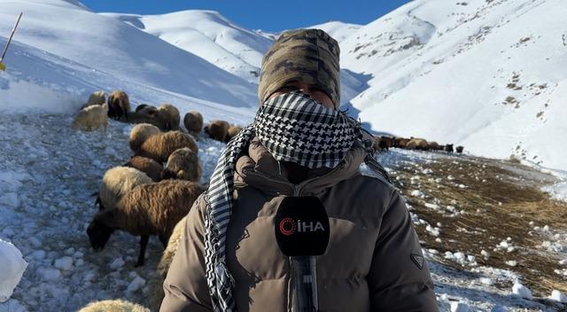 Hakkari&rsquo;de 1 bu&ccedil;uk metreyi aşan karda &ccedil;ift&ccedil;ilerin zorlu mesaisi s&uuml;r&uuml;yor 8