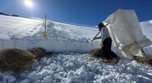 Hakkari&rsquo;de 1 bu&ccedil;uk metreyi aşan karda &ccedil;ift&ccedil;ilerin zorlu mesaisi s&uuml;r&uuml;yor 3