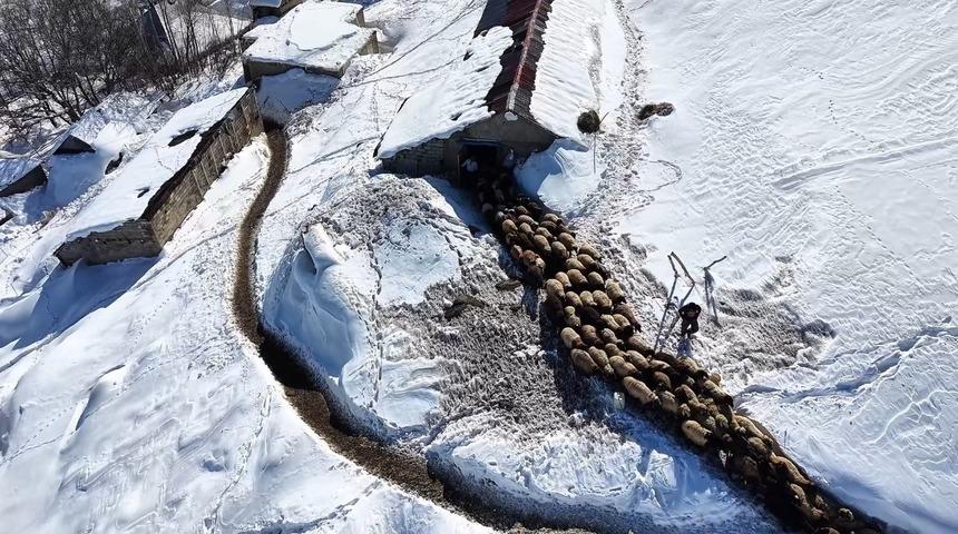 Hakkari&rsquo;de 1 bu&ccedil;uk metreyi aşan karda &ccedil;ift&ccedil;ilerin zorlu mesaisi s&uuml;r&uuml;yor