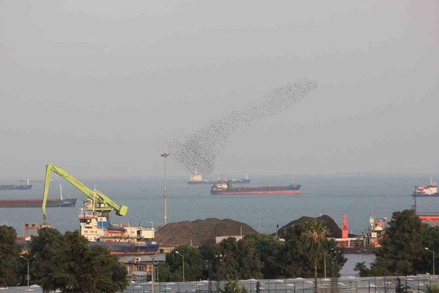 Orta Karadeniz&rsquo;den 2,3 milyar dolarlık ihracat 2