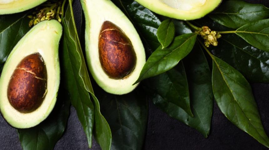 Liseli öğrenciler avokado çayının kanseri yendiğini ıspatladılar