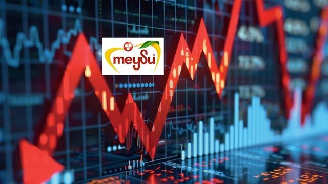 Kayıplar arttı! MEYSU hisselerinde devre kesici uygulandı