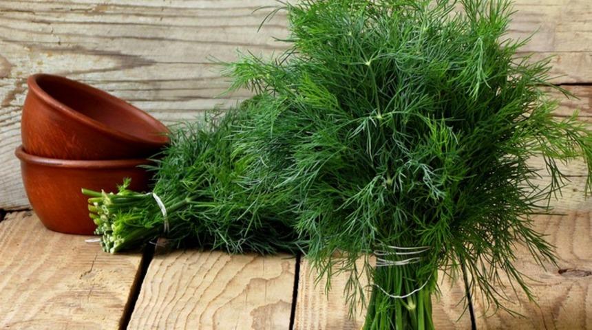 Bu özelliğini kimse bilmiyordu: Bir hafta tüketin ve etkisini görün!