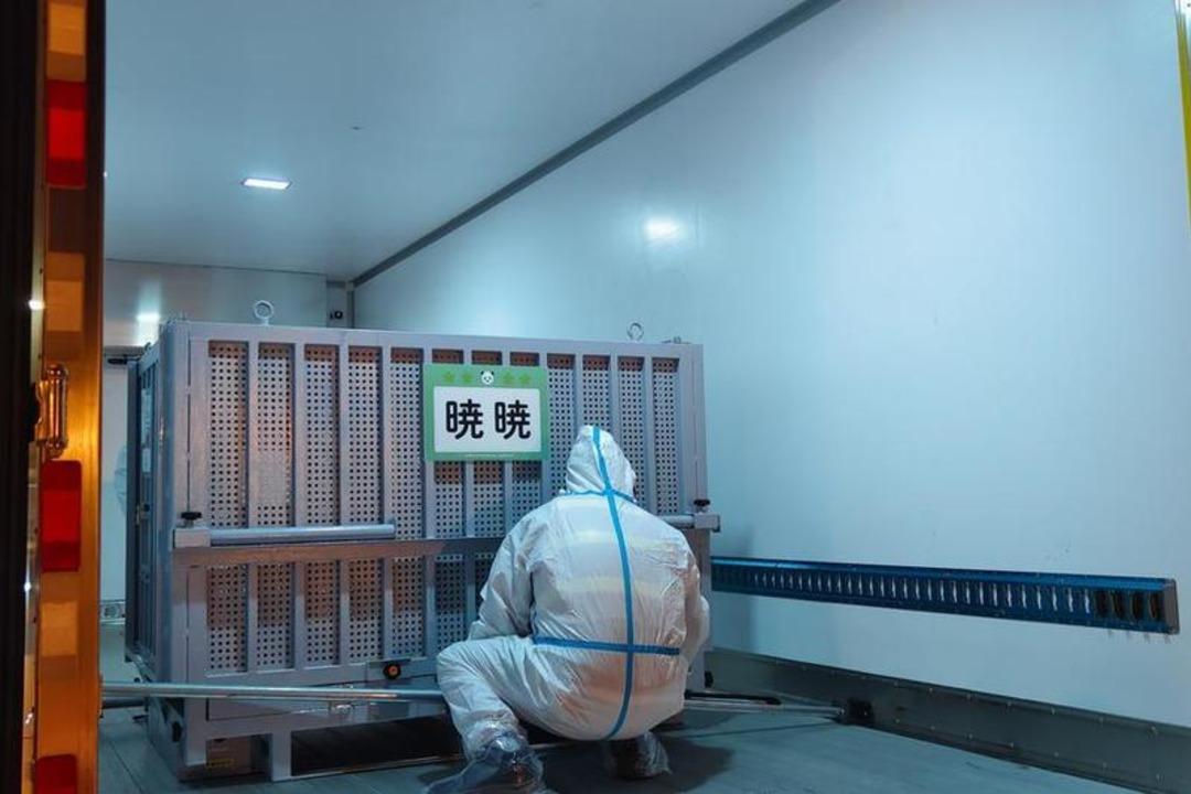 Karantinaya alınacaklar! Son kalan iki tane de Çin e döndü 2