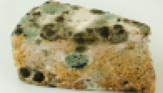 Diyetisyen market keki ve ev kekini karşılaştırdı: Bakteri bile yemiyor...