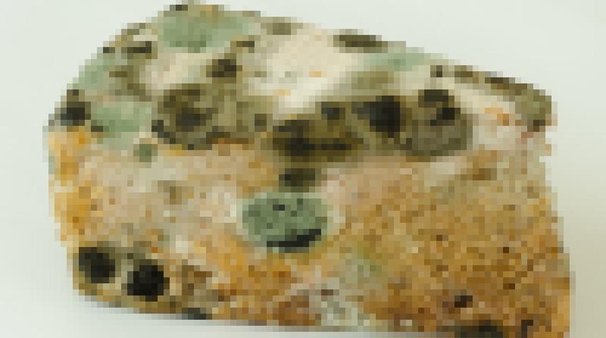 Sonu&ccedil;lar korkun&ccedil;! Diyetisyen market keki ve ev kekini karşılaştırdı: Bakteri bile yemiyor...