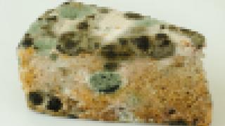 Sonuçlar korkunç! Diyetisyen market keki ve ev kekini karşılaştırdı: Bakteri bile yemiyor...