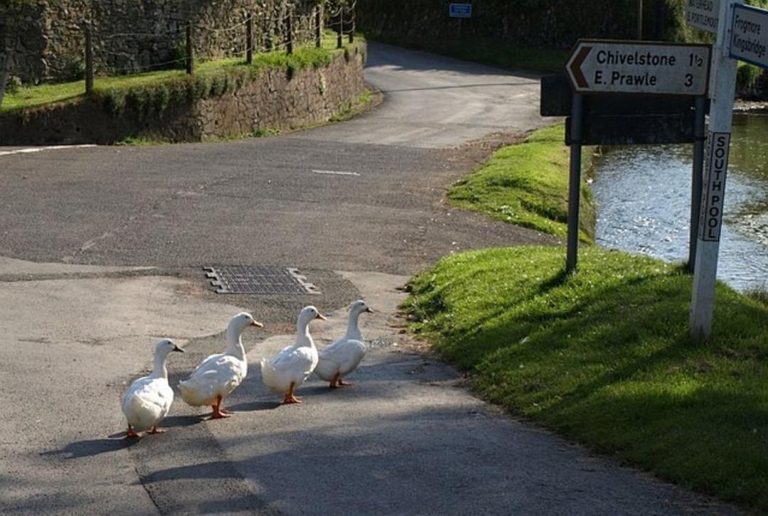 En pahalı k&ouml;y! Burada evi olanlar artık milyoner 2
