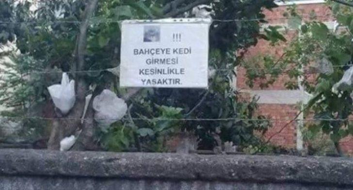 Esnaf tabelaları kırdı geçirdi G3