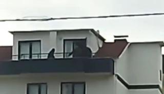 Kocaeli'de FET&Ouml; operasyonu: Saklandığı &ccedil;atıda yakalandı