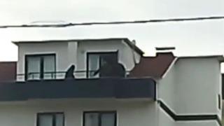 Kocaeli'de FETÖ operasyonu: Saklandığı çatıda yakalandı